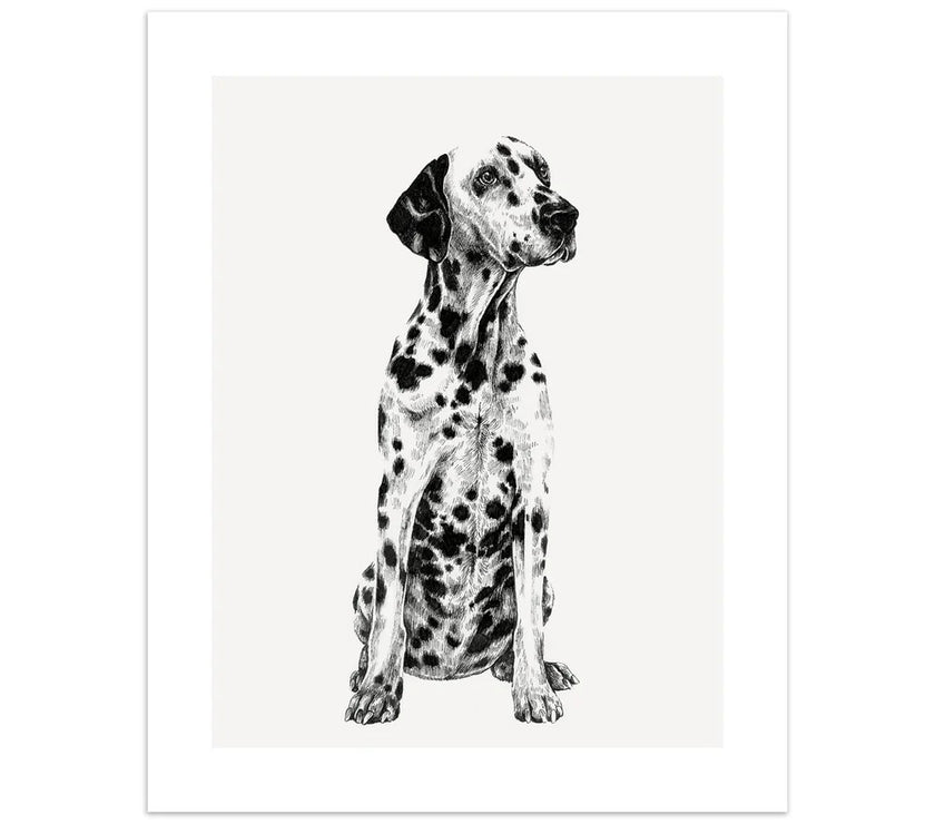 Dalmation Birthday Card