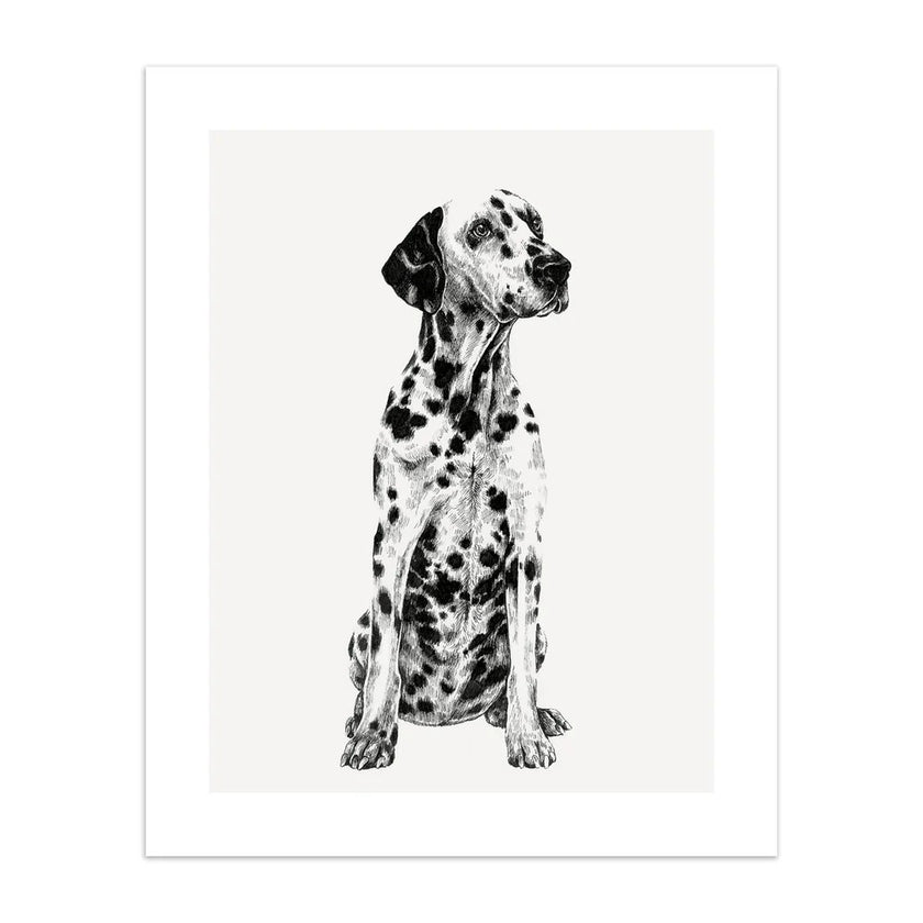 Dalmation Birthday Card