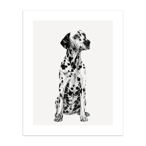 Dalmation Birthday Card