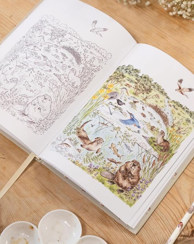 Creativity Journal
