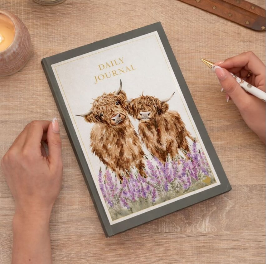 Daily Journal