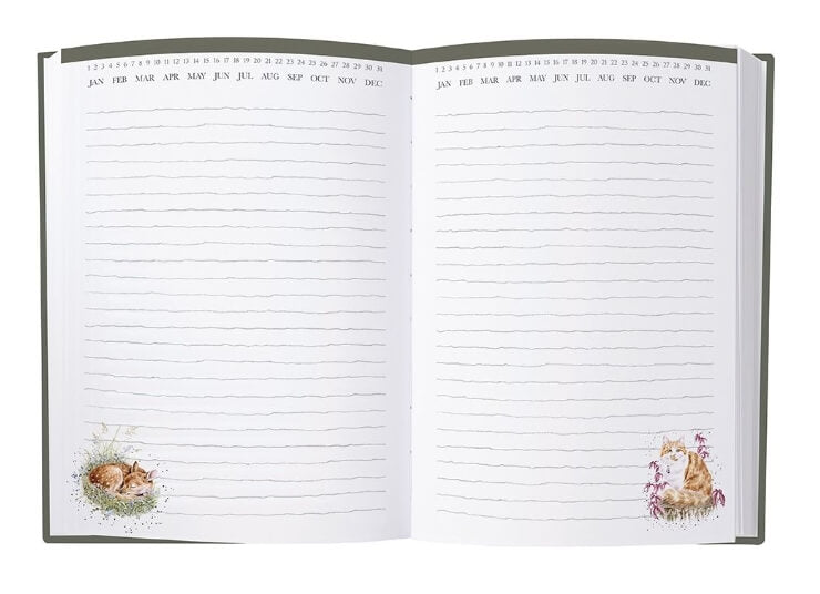 Daily Journal