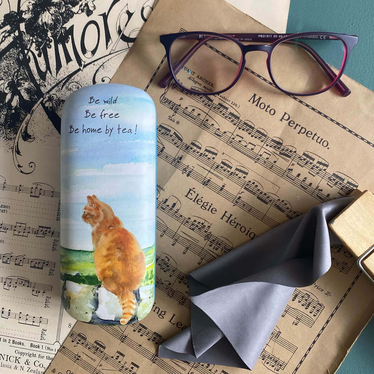 Ginger Cat Glasses Case -  Be Wild Be Free Be Home By Tea
