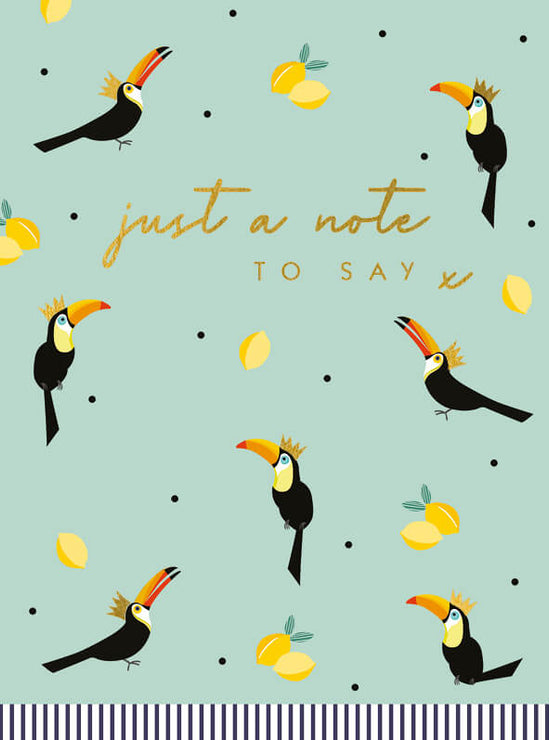 Just a Note Toucans Birthday Card