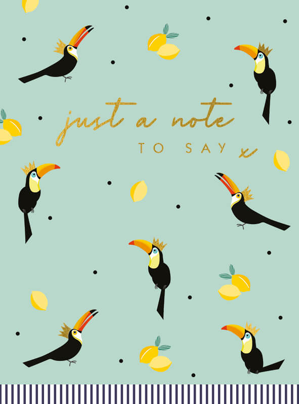 Just a Note Toucans Birthday Card