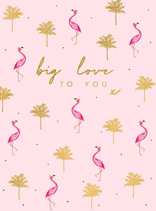 Big Love Flamingos Birthday Card