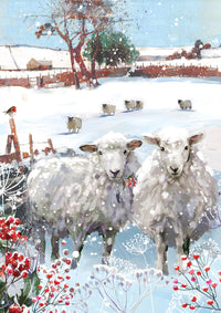 Snowy Scene Christmas Cards - 24 Cards in 6 Traditional Designs