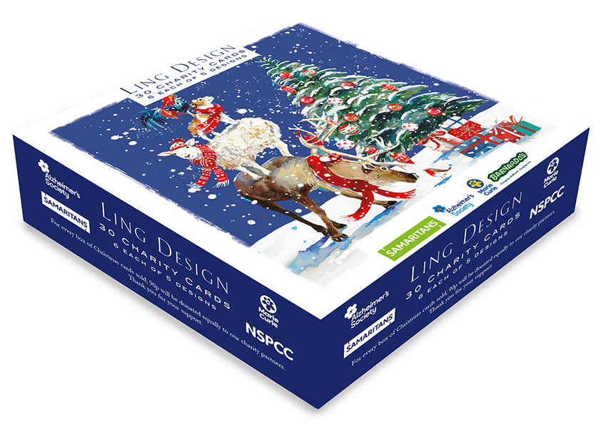 Charity Christmas Cards - 28 Cards in 4 Traditional Designs