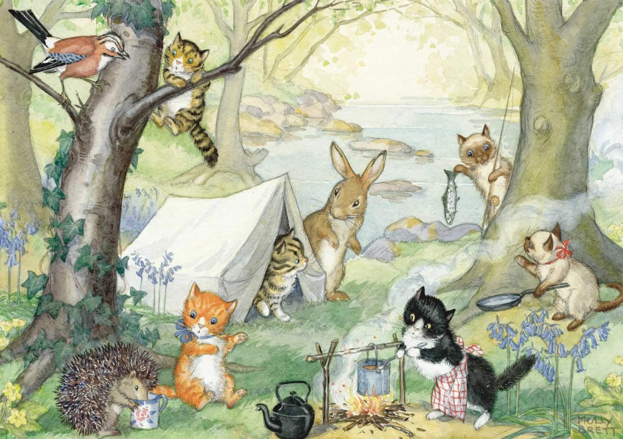 Kitten Camp Birthday Card