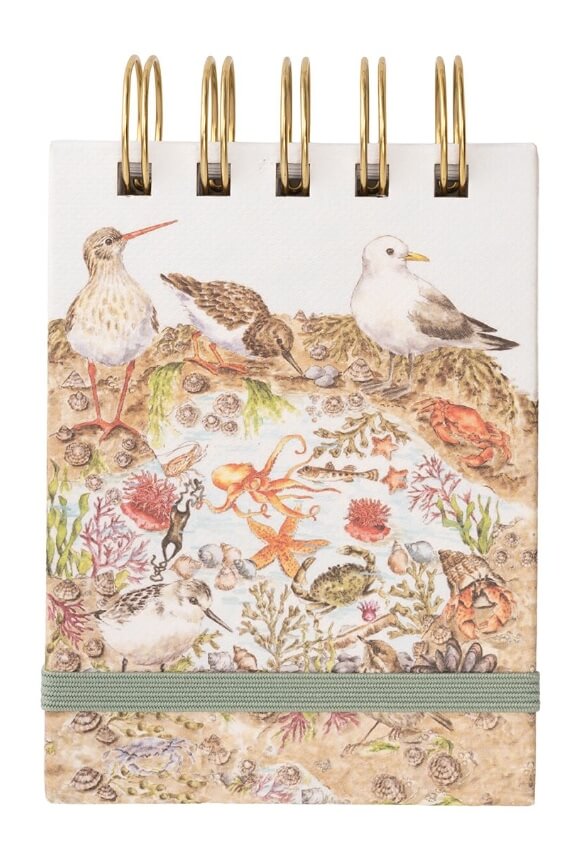 Seaside Reporters Notebook