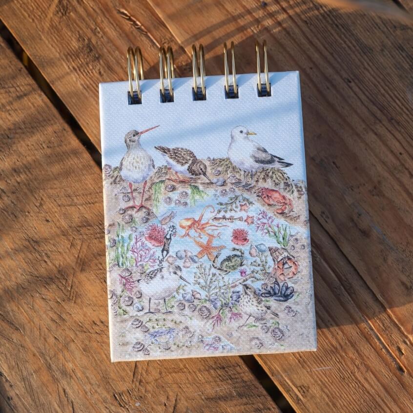 Seaside Reporters Notebook