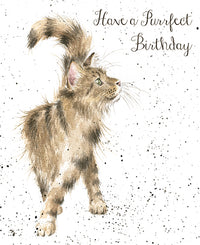 Just Purrfect