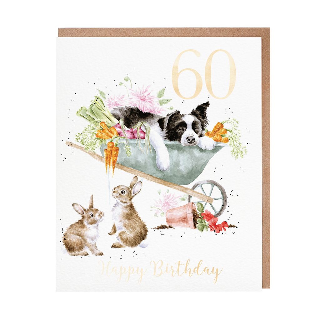 60th Birthday Card Sleeping Dog