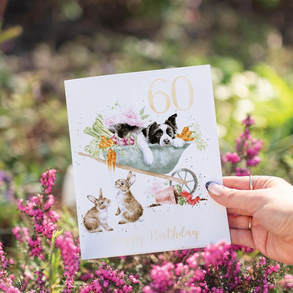 60th Birthday Card Sleeping Dog