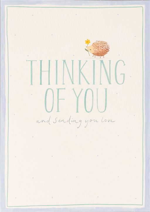 Thinking of You Hedgehog Greeting Card