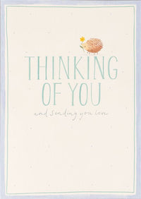 Thinking of You Hedgehog Greeting Card