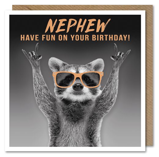Nephew Racoon Birthday Card
