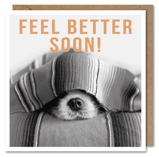 Dog Nose Get Well Card