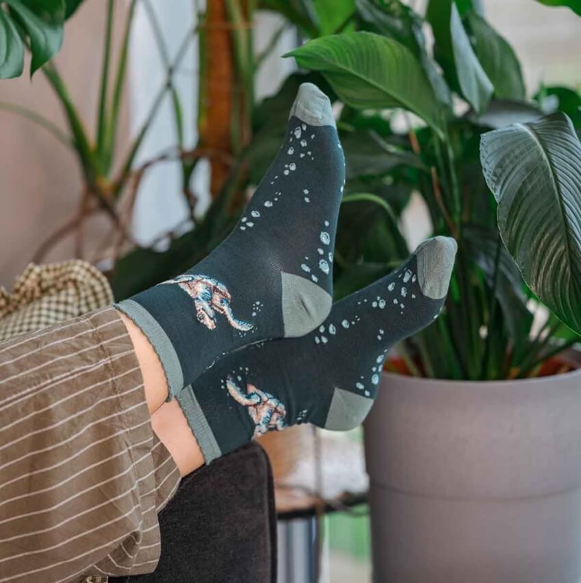 Swimming School Ladies Bamboo Socks