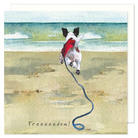 Freedom Dog On The Beach Birthday Card