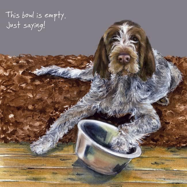 Empty Bowl Spinone Birthday Card