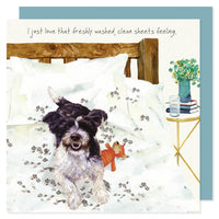 Clean Sheets Cheeky Terrier Birthday Card