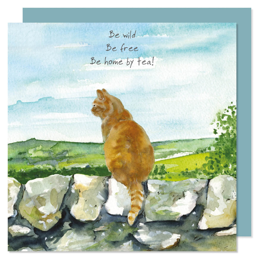 Ginger Cat Birthday Card