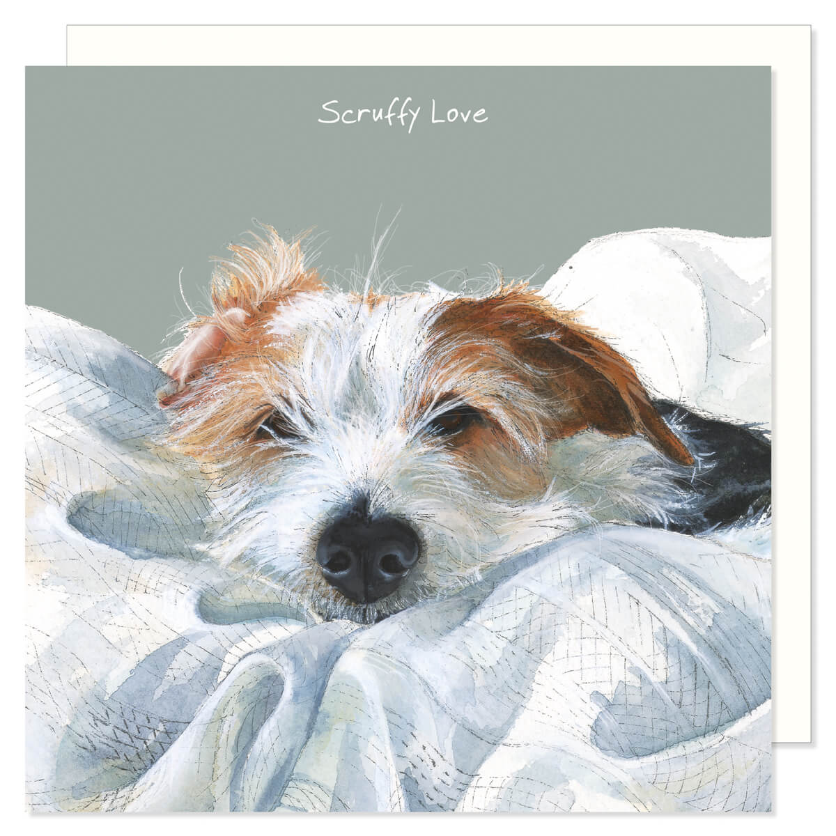 Scruffy Jack Russell Dog Birthday Card