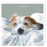 Scruffy Jack Russell Dog Birthday Card