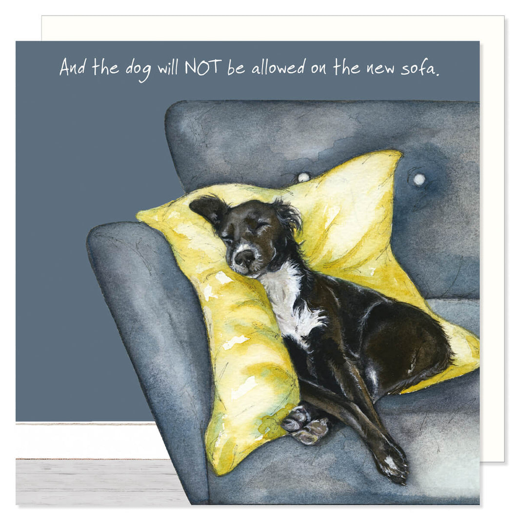 Not on Sofa Spaniel Birthday Card