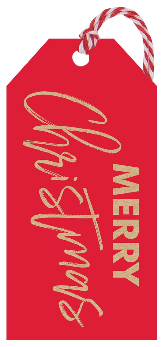 18 Christmas Red Xmas Gift Tags
