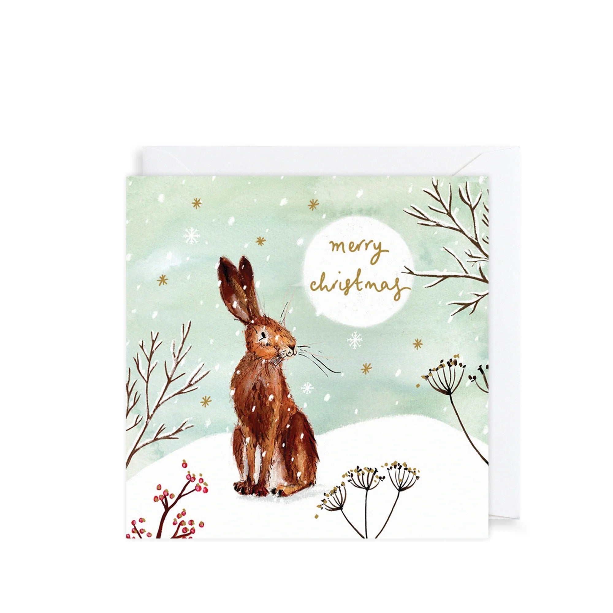 Louise Mulgrew Hare and Pheasant Wallet Christmas Cards