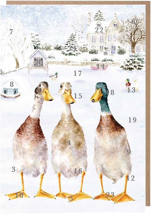 Duck Pond Advent Calendar Card