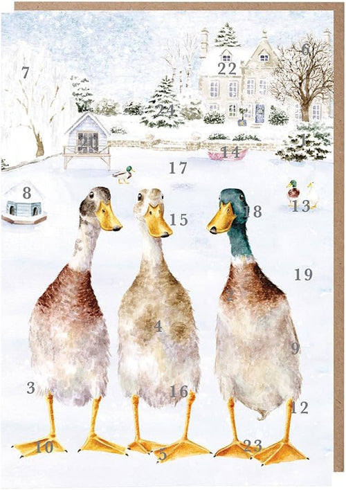 Duck Pond Advent Calendar Card