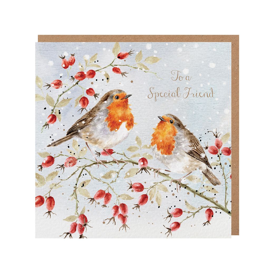 Special Friend Robins Christmas Card