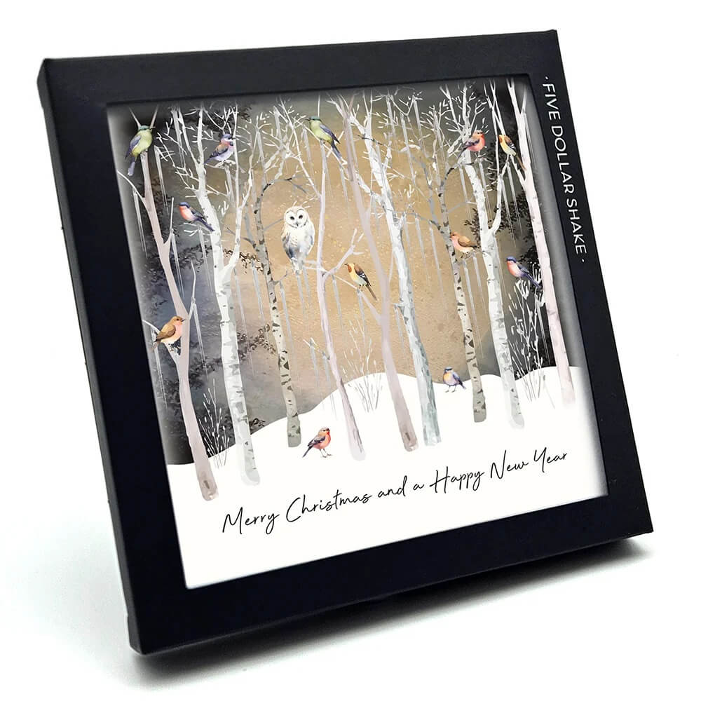Owl and Robins Christmas Boxed Cards