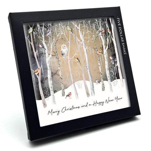 Owl and Robins Christmas Boxed Cards