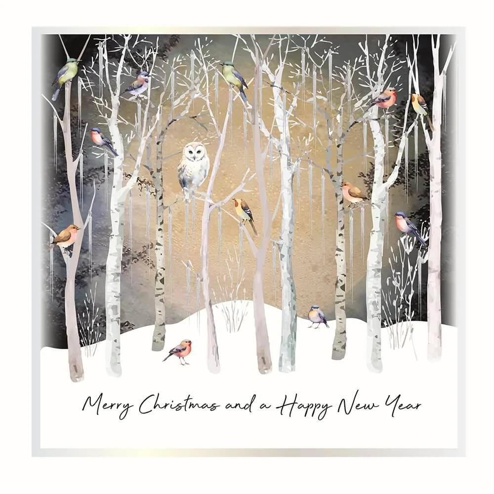 Owl and Robins Christmas Boxed Cards