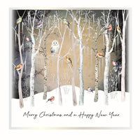 Owl and Robins Christmas Boxed Cards