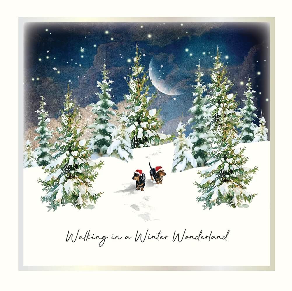 Winter Wonderland Christmas Boxed Cards