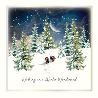 Winter Wonderland Christmas Boxed Cards