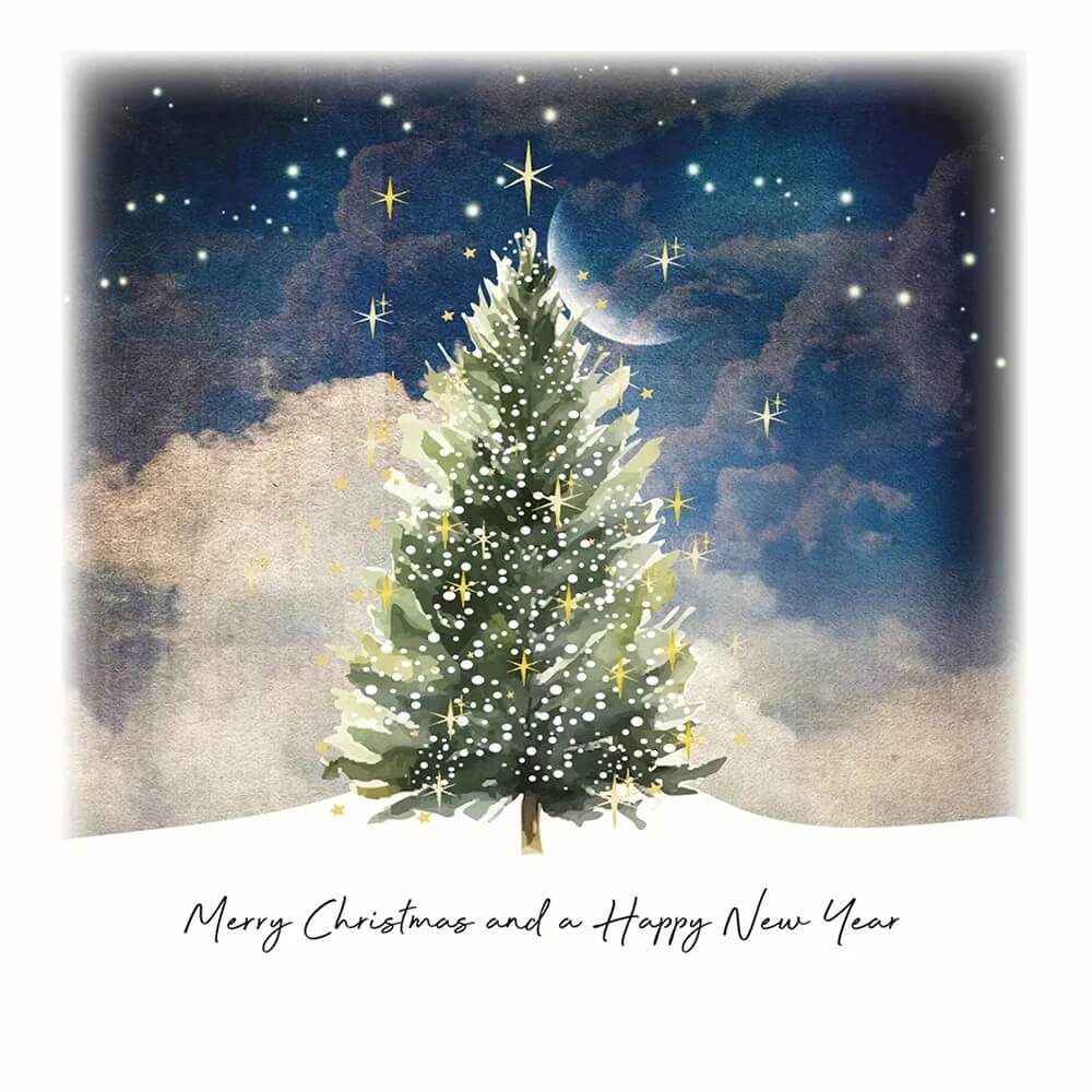 Tree at Night Christmas Boxed Cards