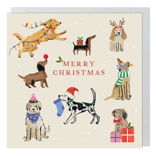 Dogs Pack of 6 Charity Christmas Cards