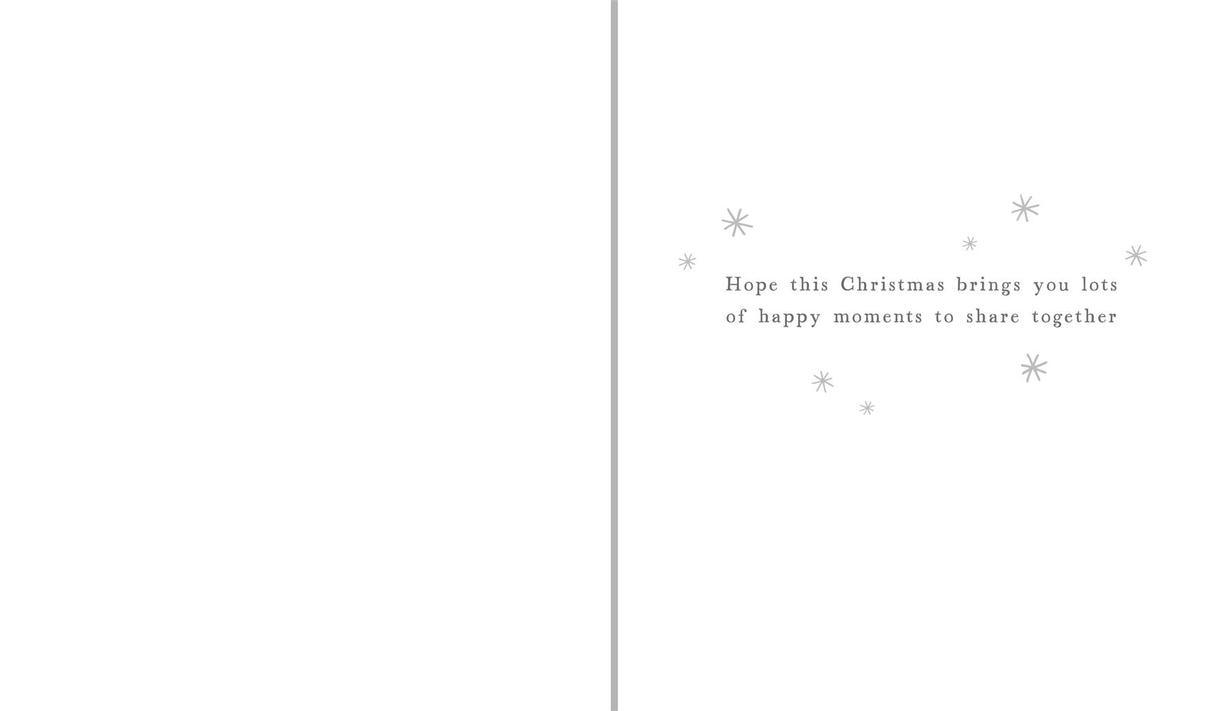 Both of You Cats Christmas Card