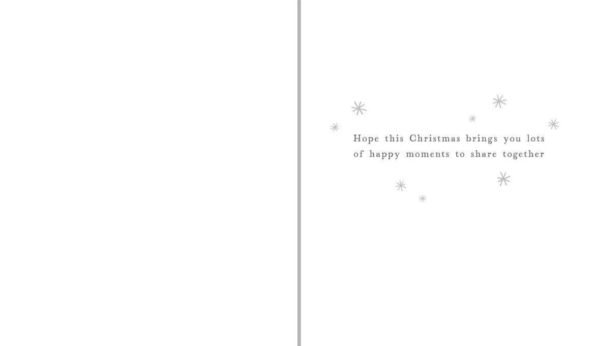 Both of You Cats Christmas Card
