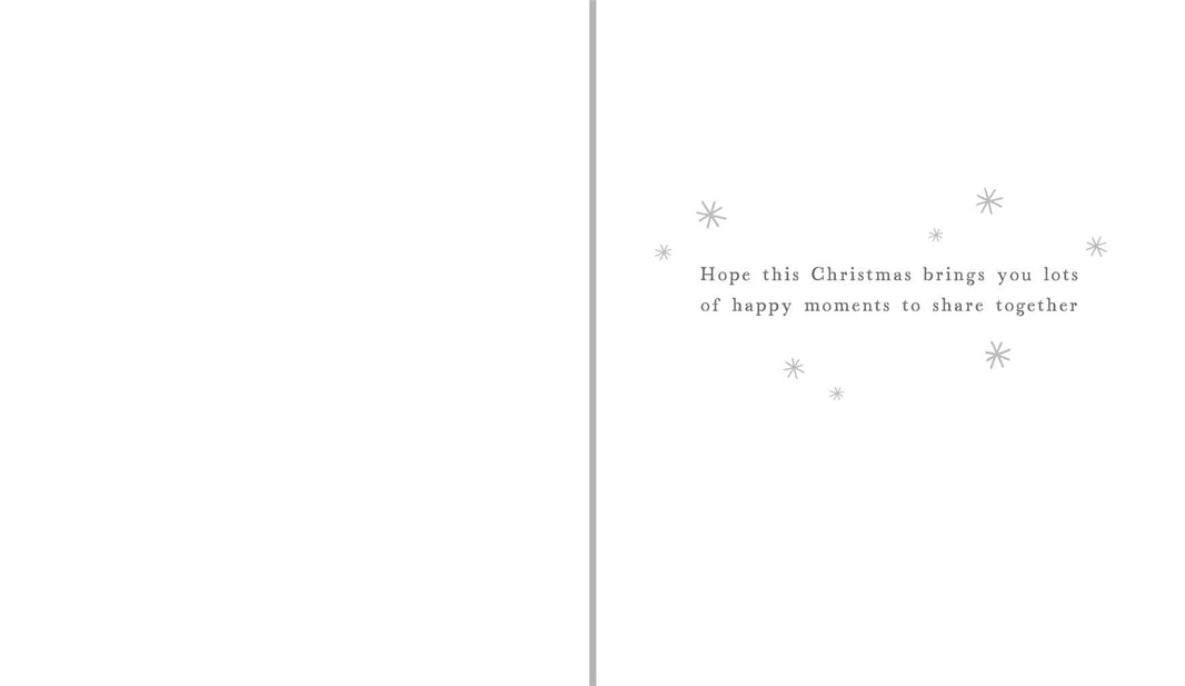 Both of You Cats Christmas Card