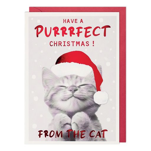 From the Cat Christmas Card