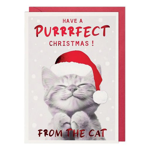 From the Cat Christmas Card
