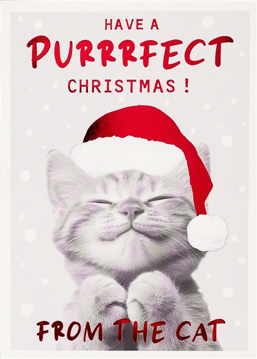 From the Cat Christmas Card