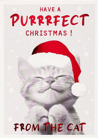 From the Cat Christmas Card